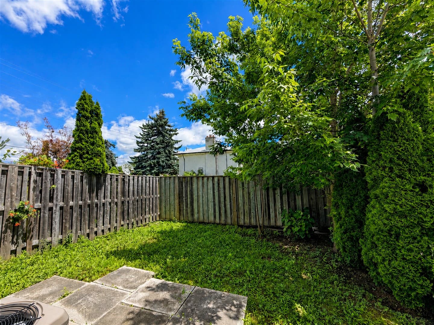Rear view of the large fenced backyard lawn